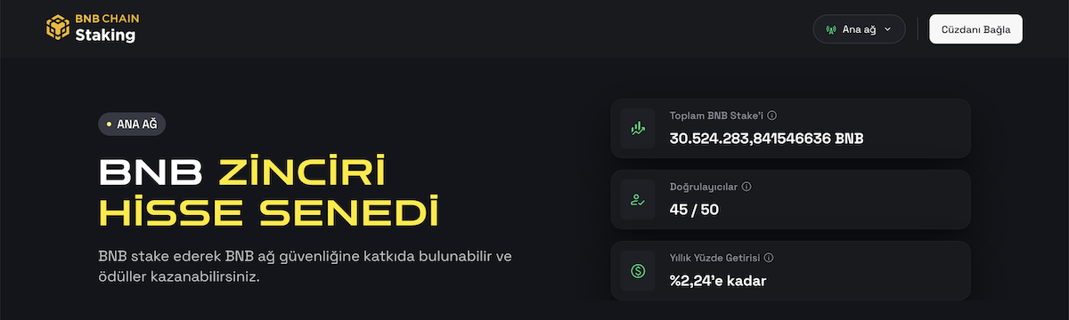 BNB Stake Etme