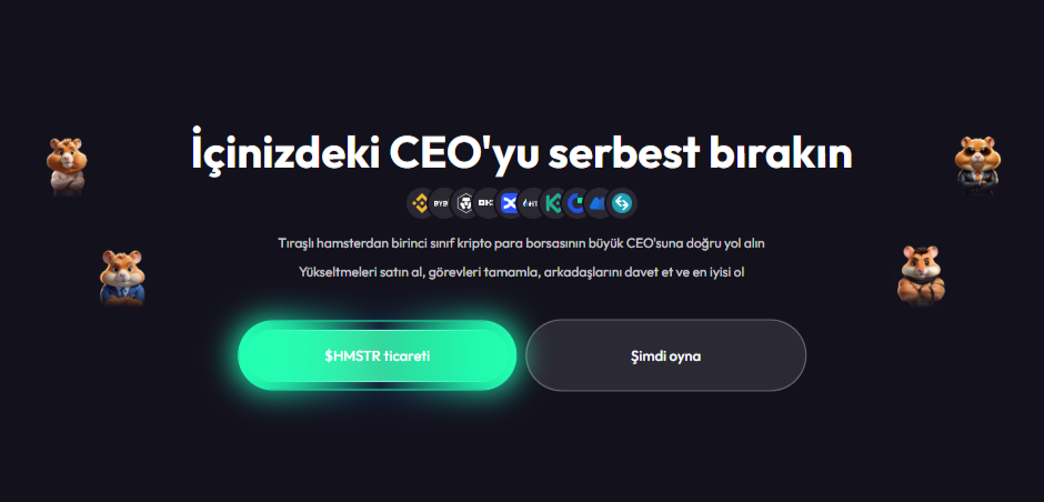 Kriptoda Kazanç Nasıl Sağlanır