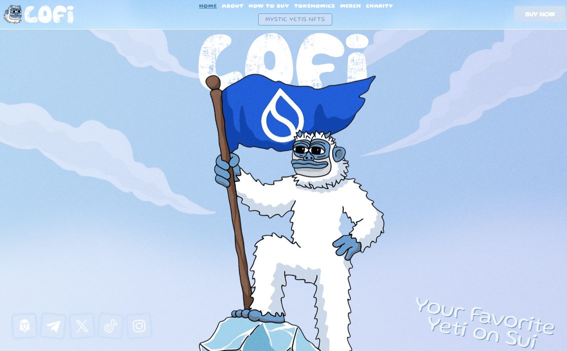 Yükselecek altcoin projeleri