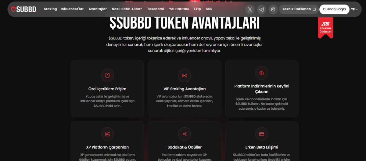 bir gecede en çok yükselen coin - SUBBD Token