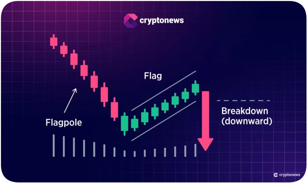 Ayı Bayrağı Formasyonu