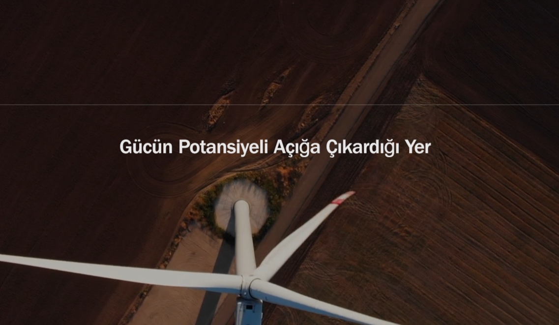 en düşük hisseler