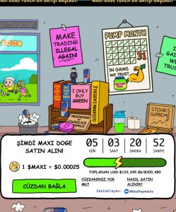 maxi doge alınabilecek en iyi shitcoin