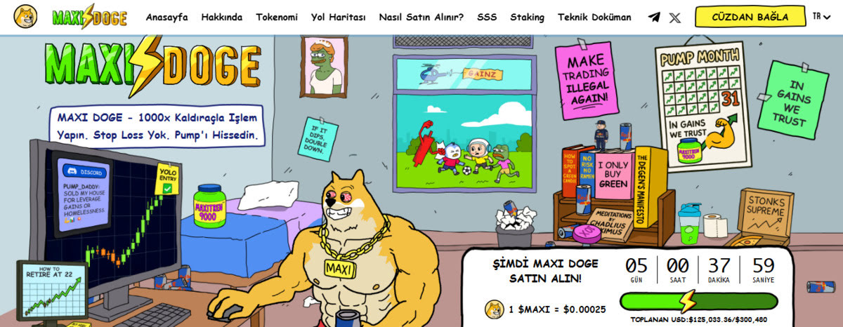 Maxi Doge (MAXI) - Uzun Vadede Kazandıracak Coinler