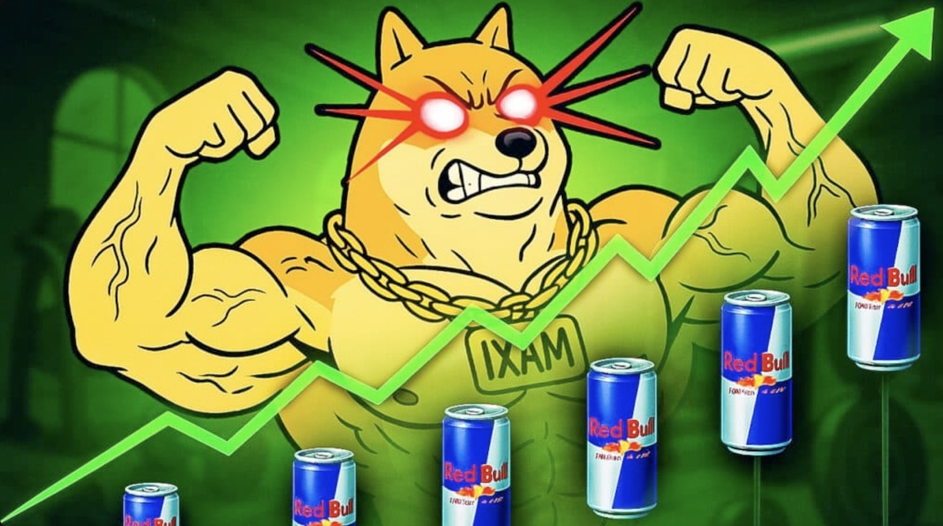 Maxi Doge Dolandırıcılık mı Yoksa Yasal mı? Tüm Detaylar