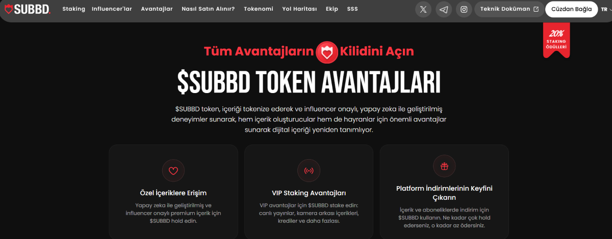 ICO Projeleri - SUBBD