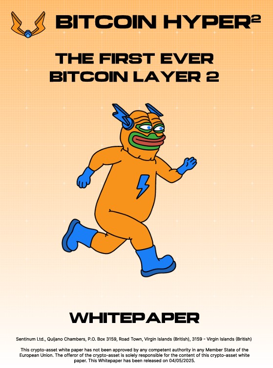 Halka Arz Sürecinde Yer alan Teknik Doküman