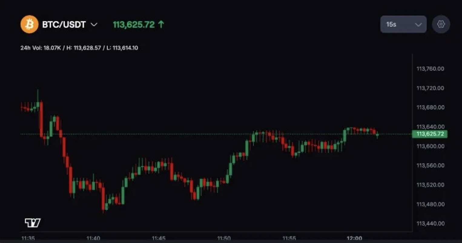 Adım 4: Kaldıracı Ayarlayın ve Bust Price’ı İnceleyin