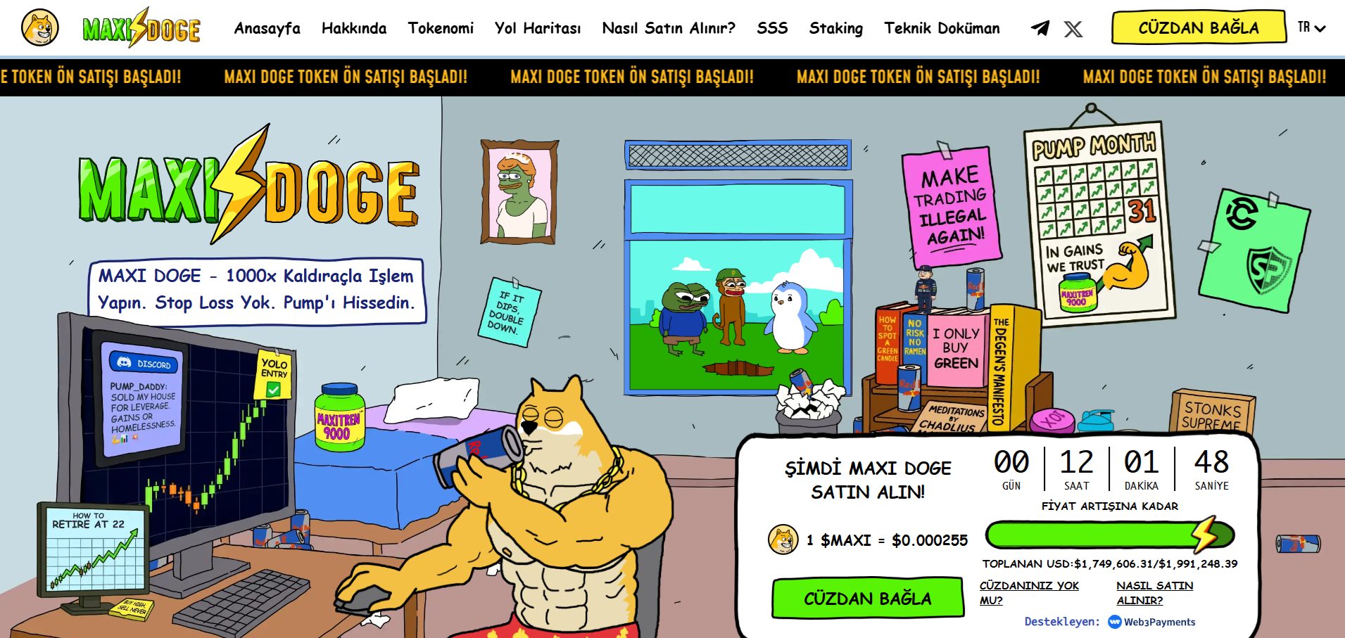 kripto boğa sezonu için en iyi altcoinler