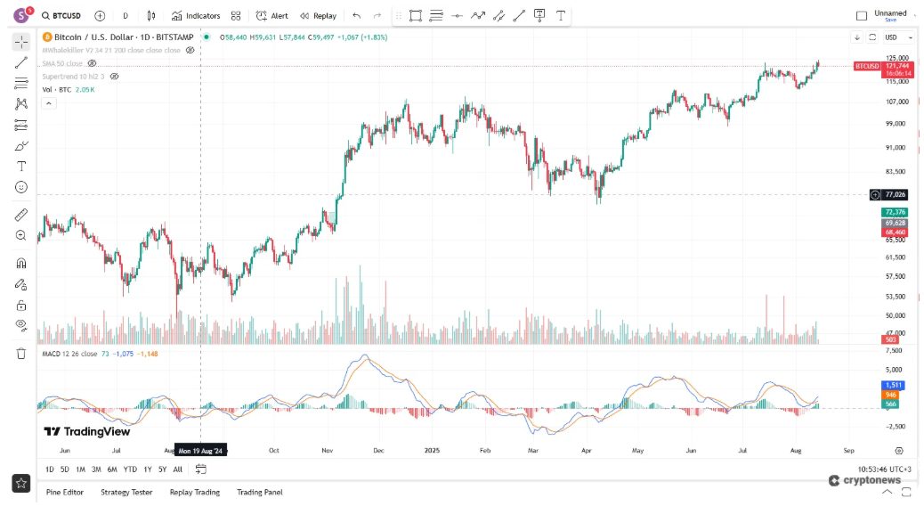 Bitcoin Short Ne Demek