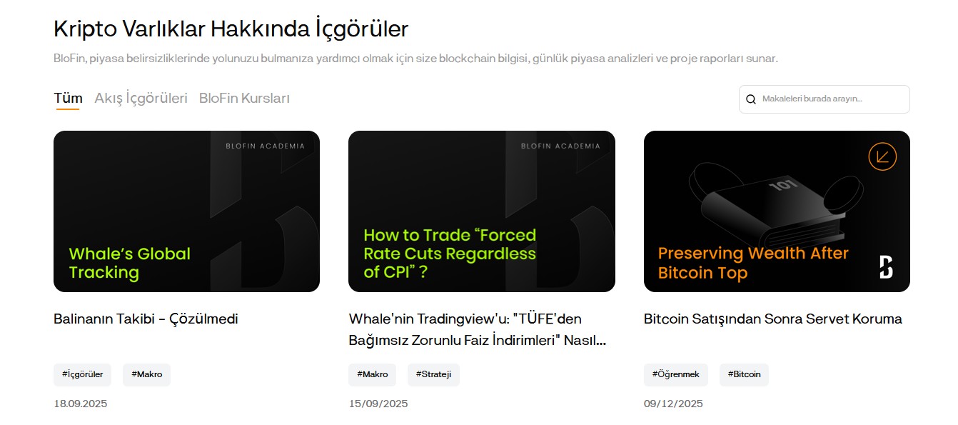 BloFin Akademisi hakkında bilgiler