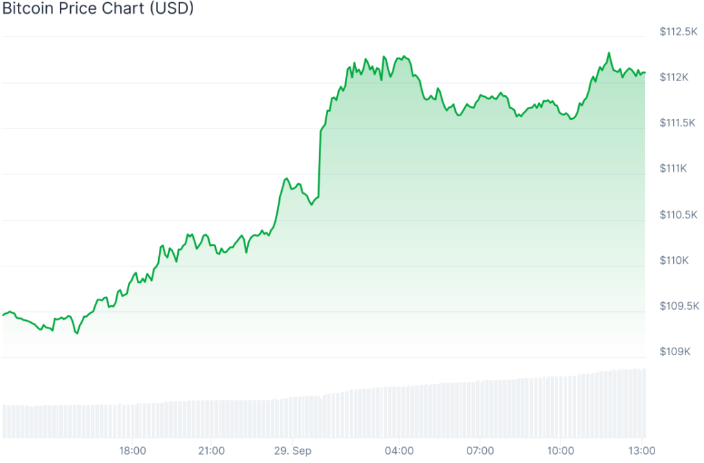 bitcoin fiyat grafiği