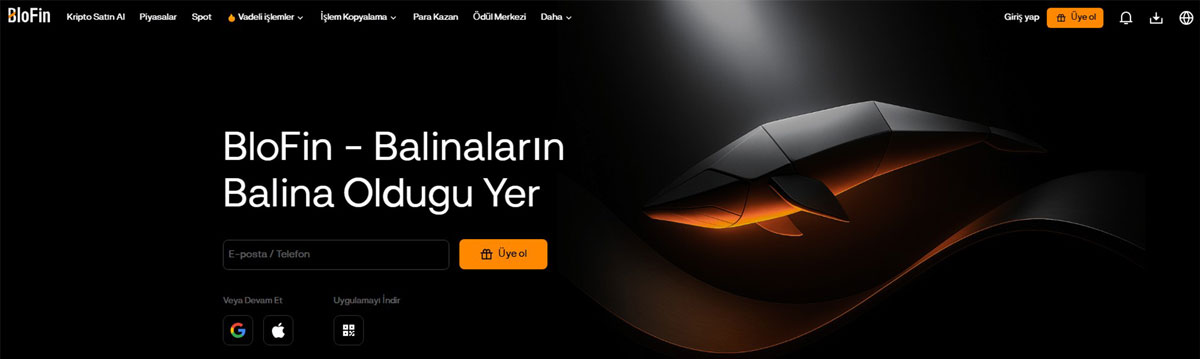 Blofin - meme coin copy trade sitesi