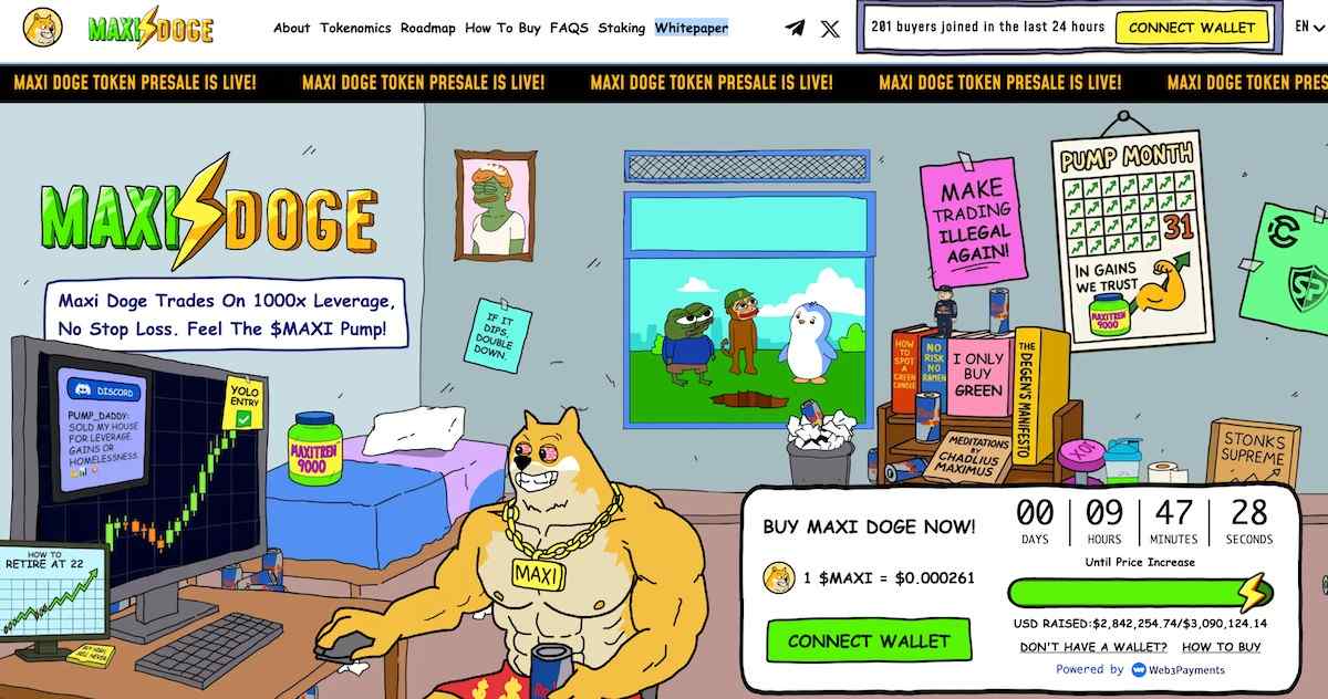 Köpek temalı meme coin Maxi Doge