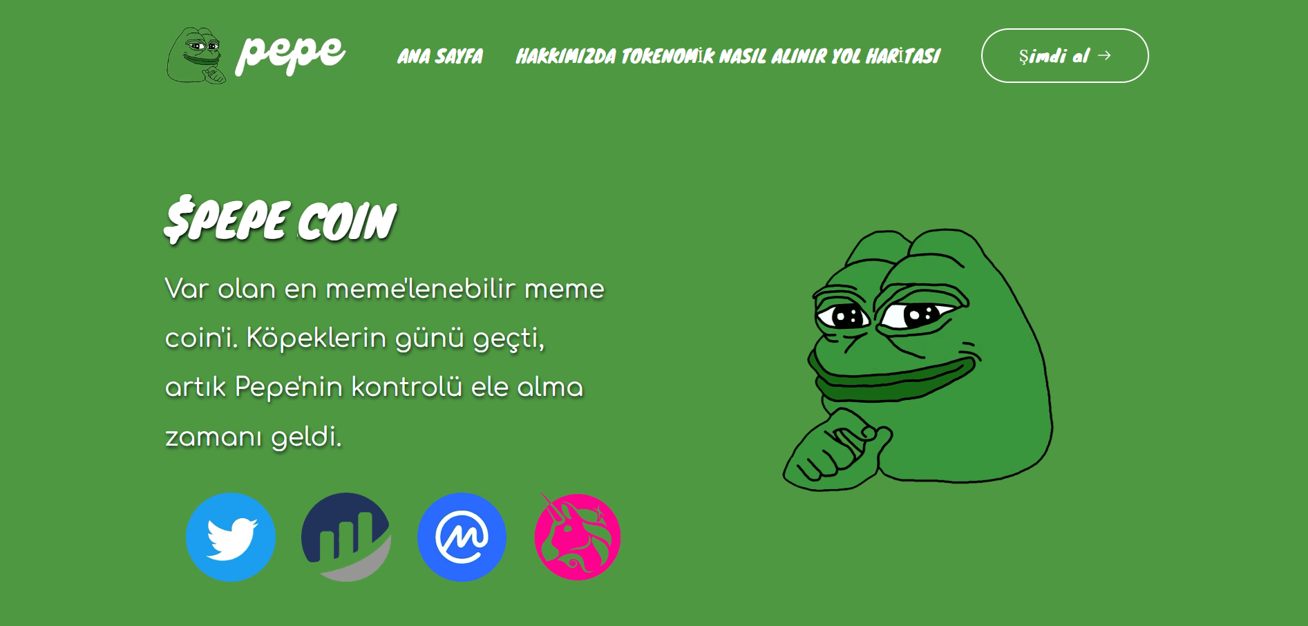 Pepe Coin (PEPE) Nasıl Alınır? – Güvenli Satın Alma Rehberi
