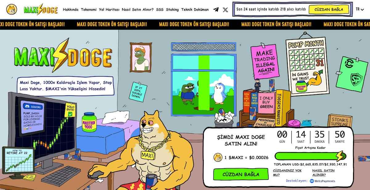 En iyi Proof of Staki coinleri - Maxi Doge