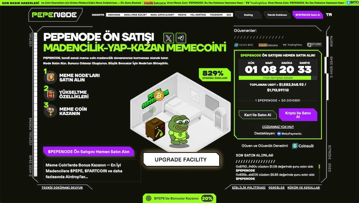 En iyi Proof of Staki coinleri - Pepenode