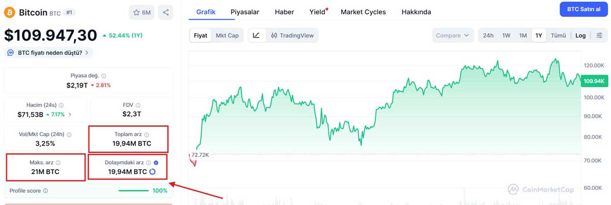 yeni meme coin toplam arzını kontrol edin
