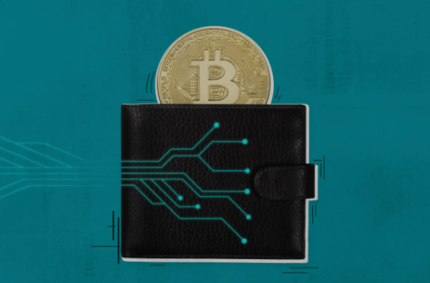 En İyi Bitcoin Cüzdanları: 2026 En İyi Kripto Uygulaması