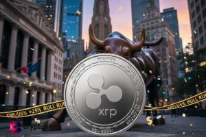 XRP Kurumsal Sermayeyi Çekerken Bitcoin ve Ethereum Kan Kaybediyor