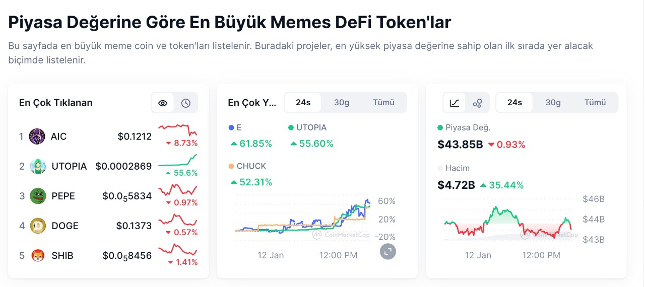 meme coin piyasa durumu