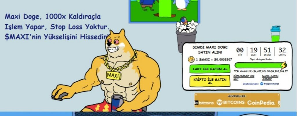 maxi doge token ön satışı