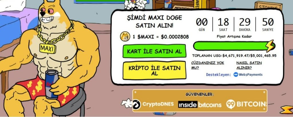 dogecoin işlem grafiği