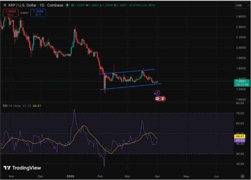 xrp işlem grafiği
