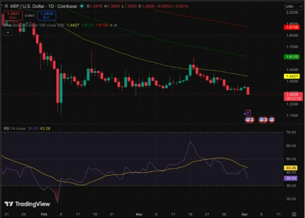 xrp işlem grafiği