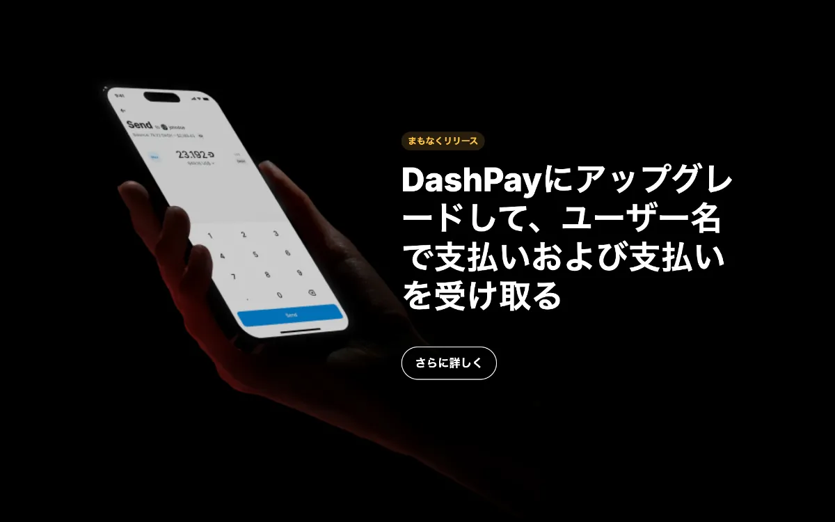 dash.payサイト