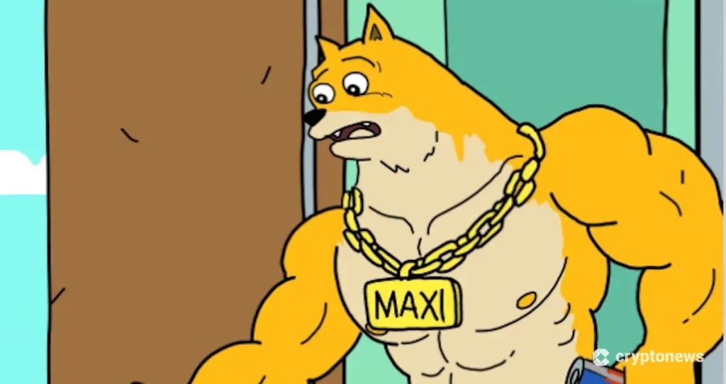 マキシドージ リスク