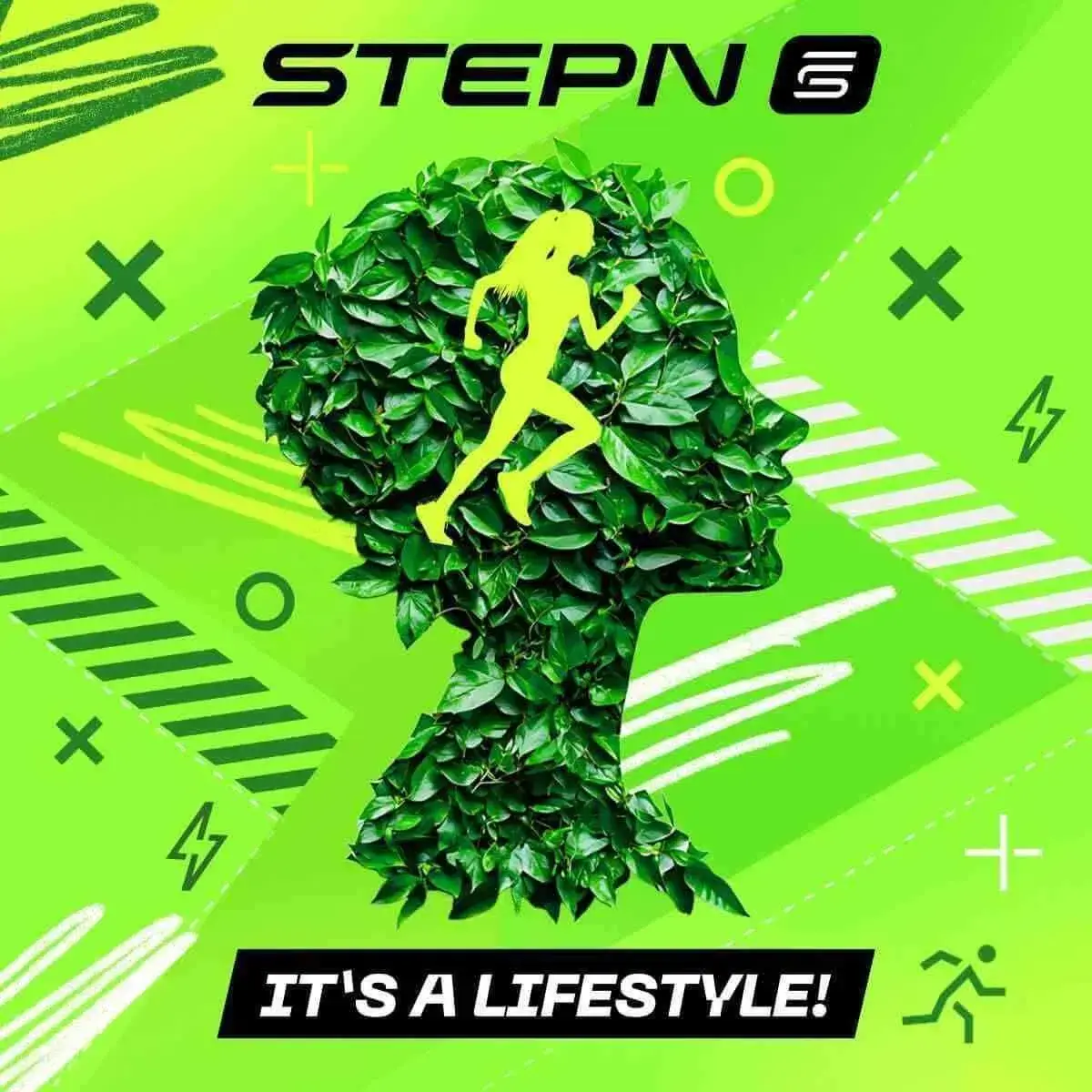 ステップンイメージ画像③