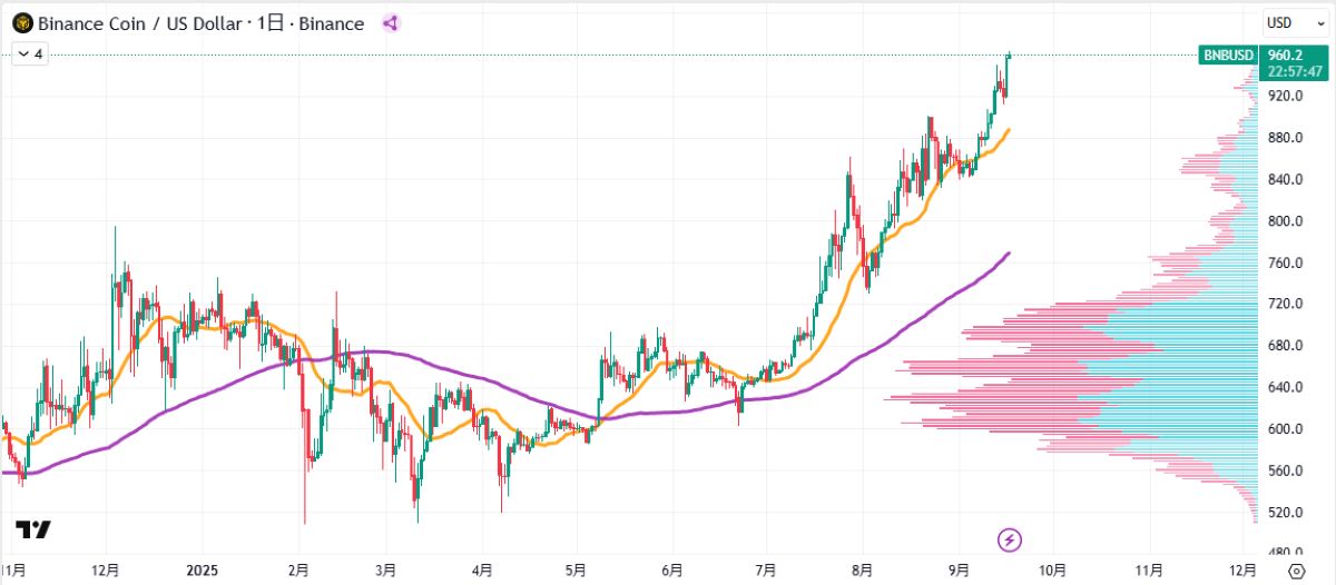 BNB日足チャート