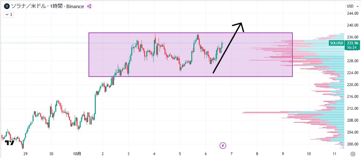 SOL価格（20250929~20251006）