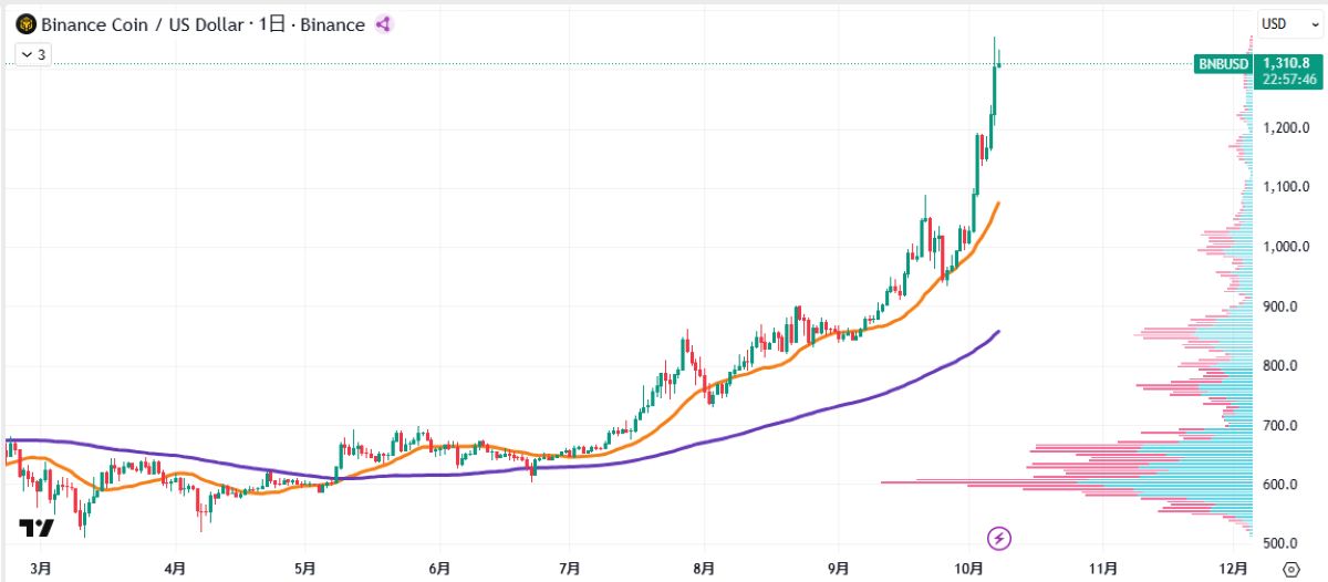 BNB日足チャート
