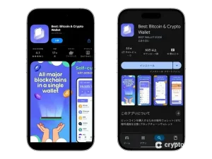 CN透かしあり Best WalletのApp StoreとGoogle Playのスマホ表示画像