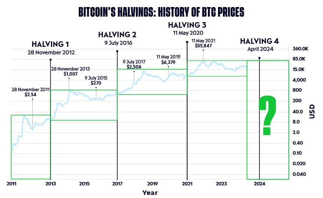 Bitcoin halving effect