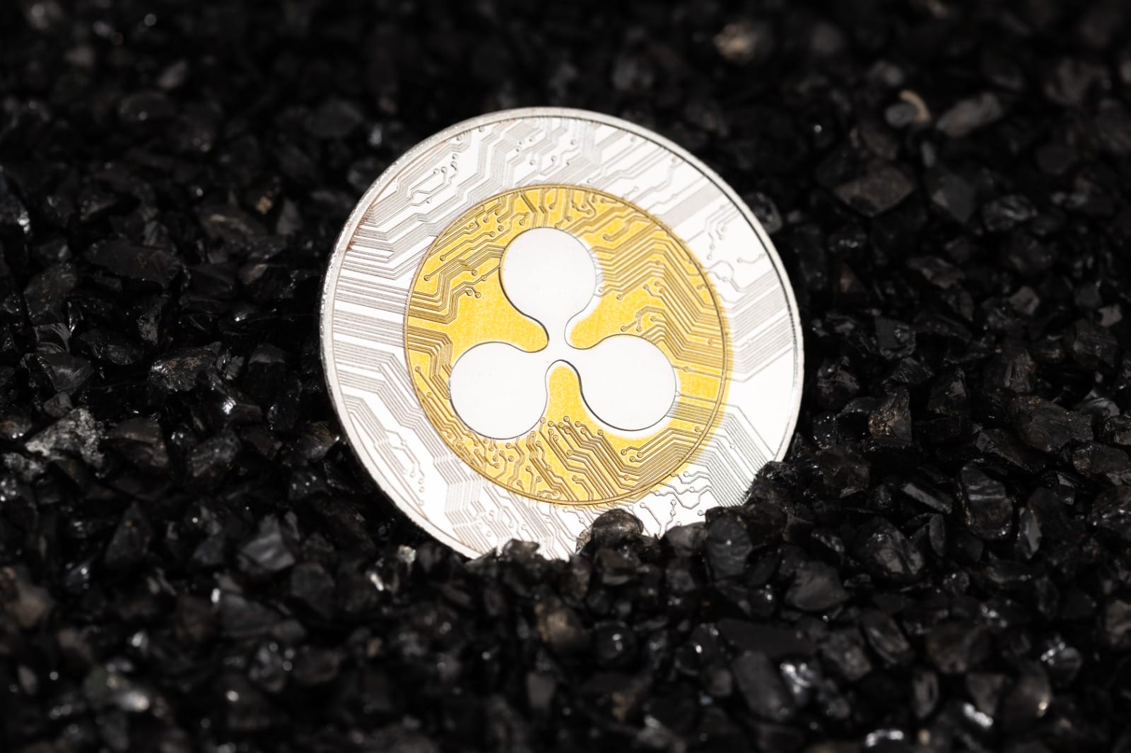 Waar en Hoe Kan Ik Ripple Kopen Nederland – Ripple XRP Kopen of Niet 2026