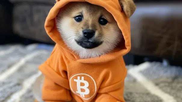 Is Dit De Meest Veelbelovende Dog Meme Crypto Trend?