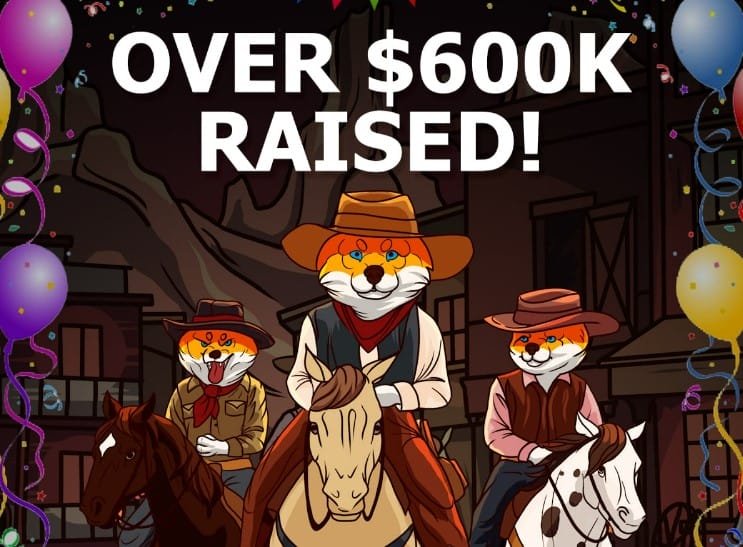 shiba shootout 11