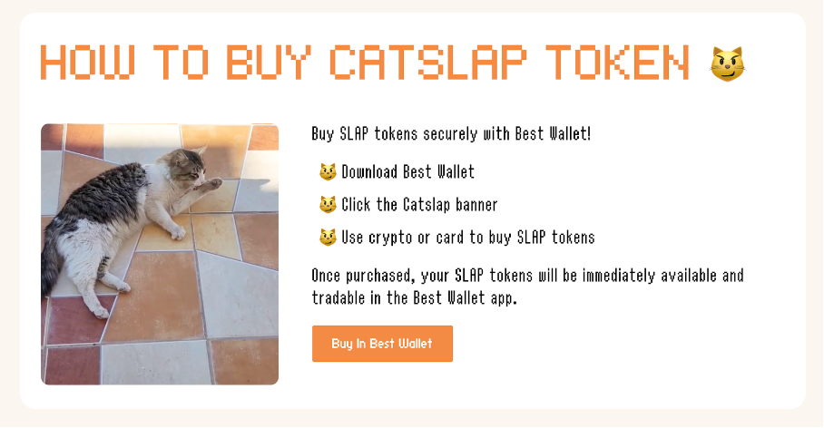 hoe catslap kopen