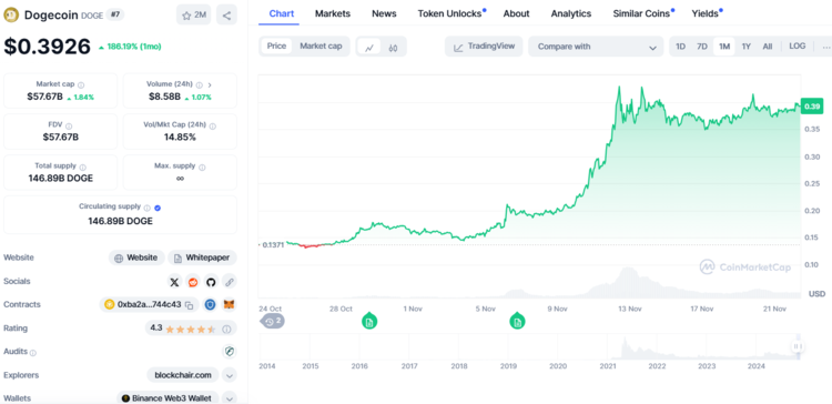 Dogecoin - Een van de meest populaire cryptomunten november en december 2024
