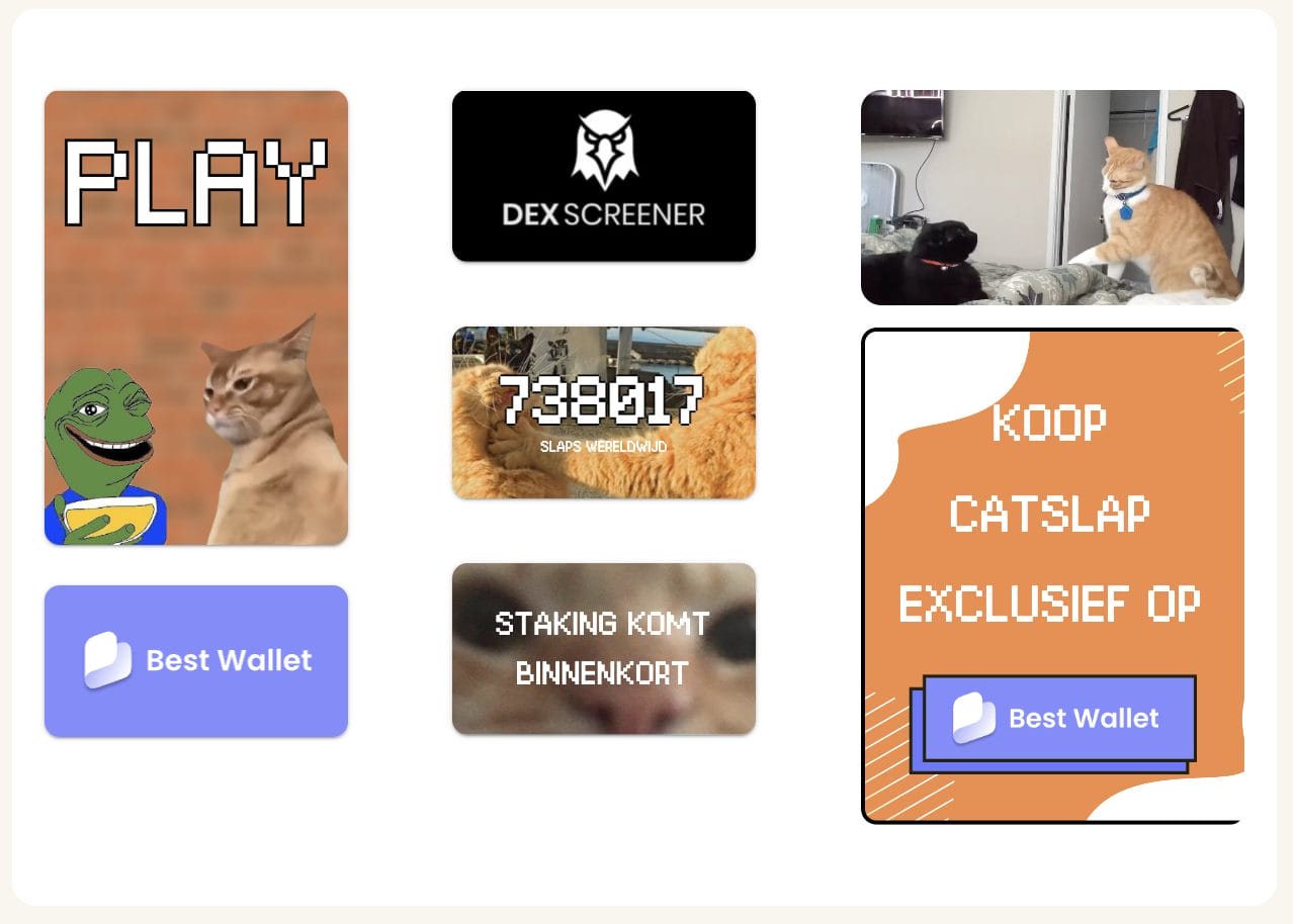 Catslap $SLAP veiligheid en vertrouwen