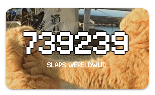 Catslap $SLAP - slaps wereldwijd