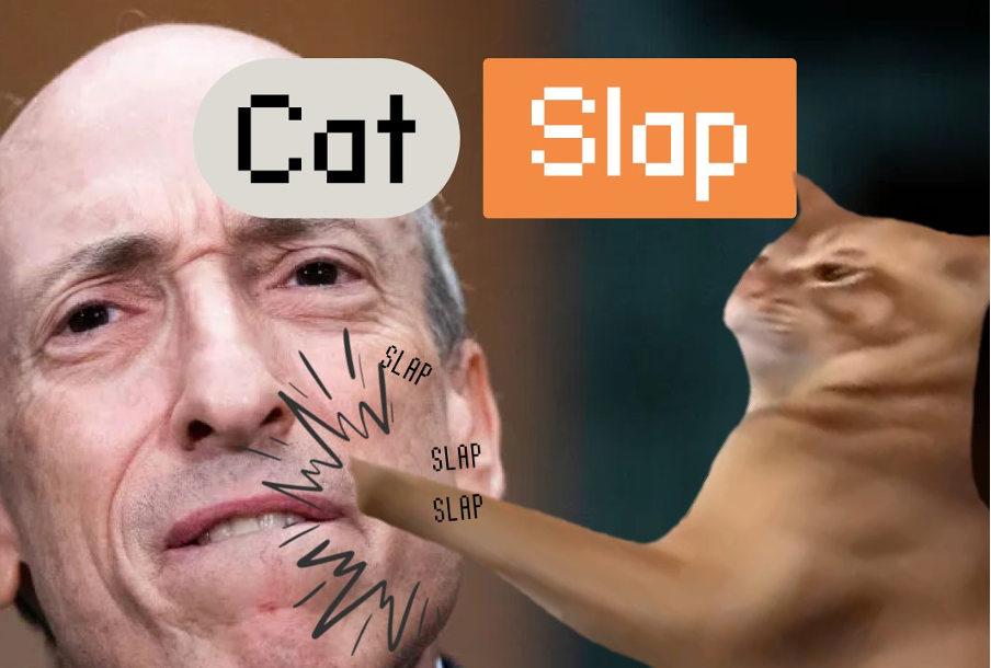 BONK koers daalt 30% terwijl nieuwe crypto meme $SLAP pumpt – beste meme coin voor december?