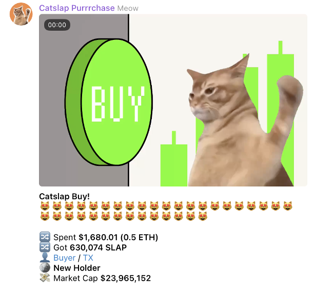 CatSlap $SLAP Telegram kanaal.