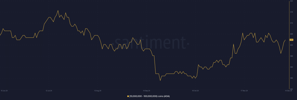 Whale accumulatie Cardano