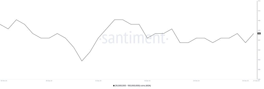 Adressen met 10 miljoen tot 100 miljoen $ADA