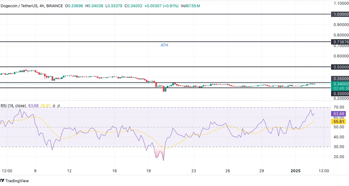 Dogecoin Price Chart: TradingView