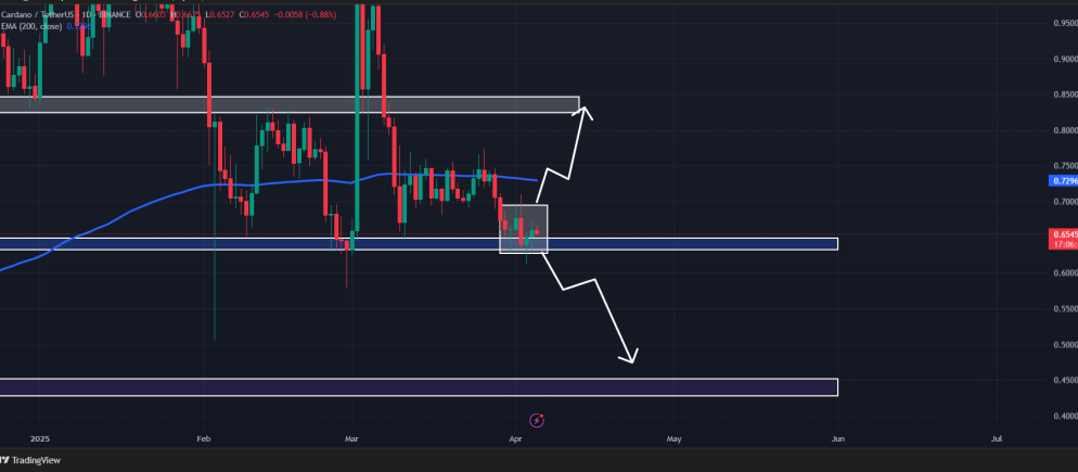 Source: Trading View